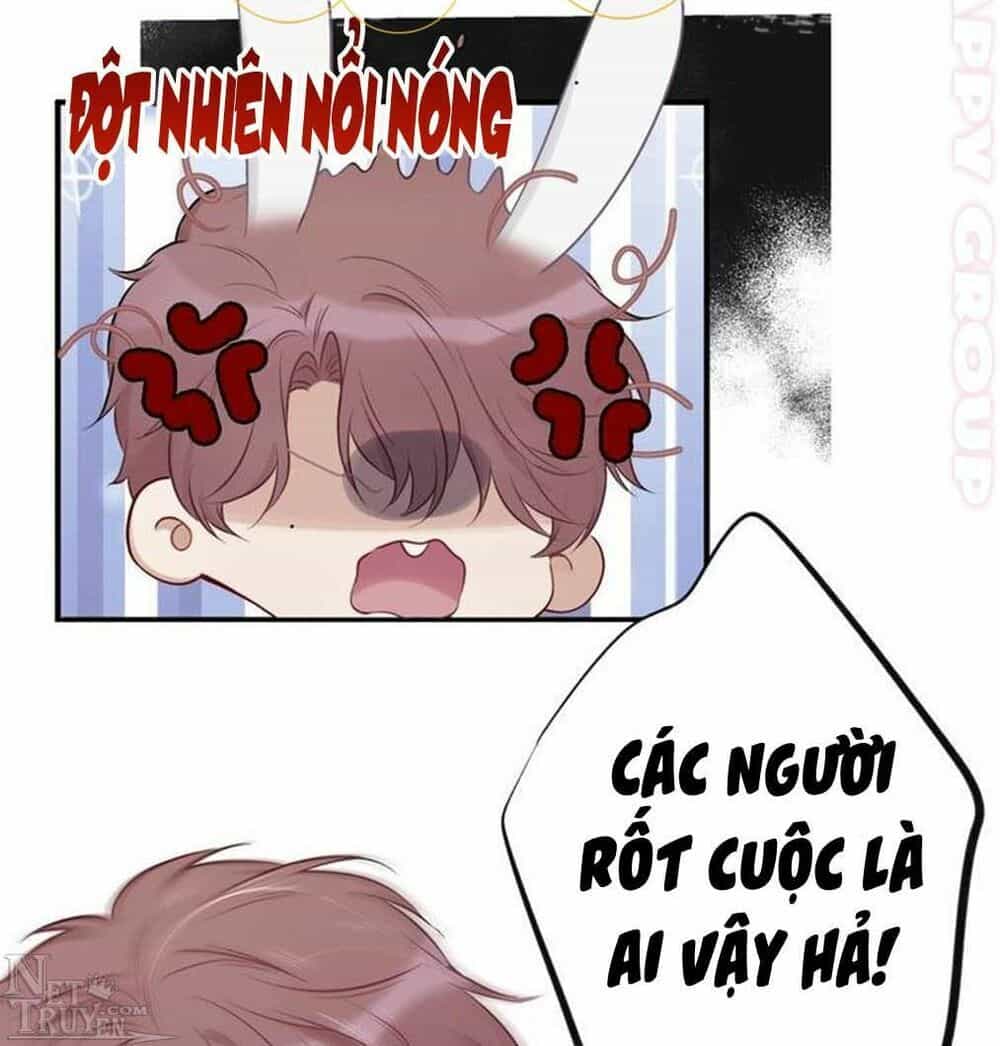 Đừng Để Tôi Bảo Vệ - Chương 20 - ảnh 12