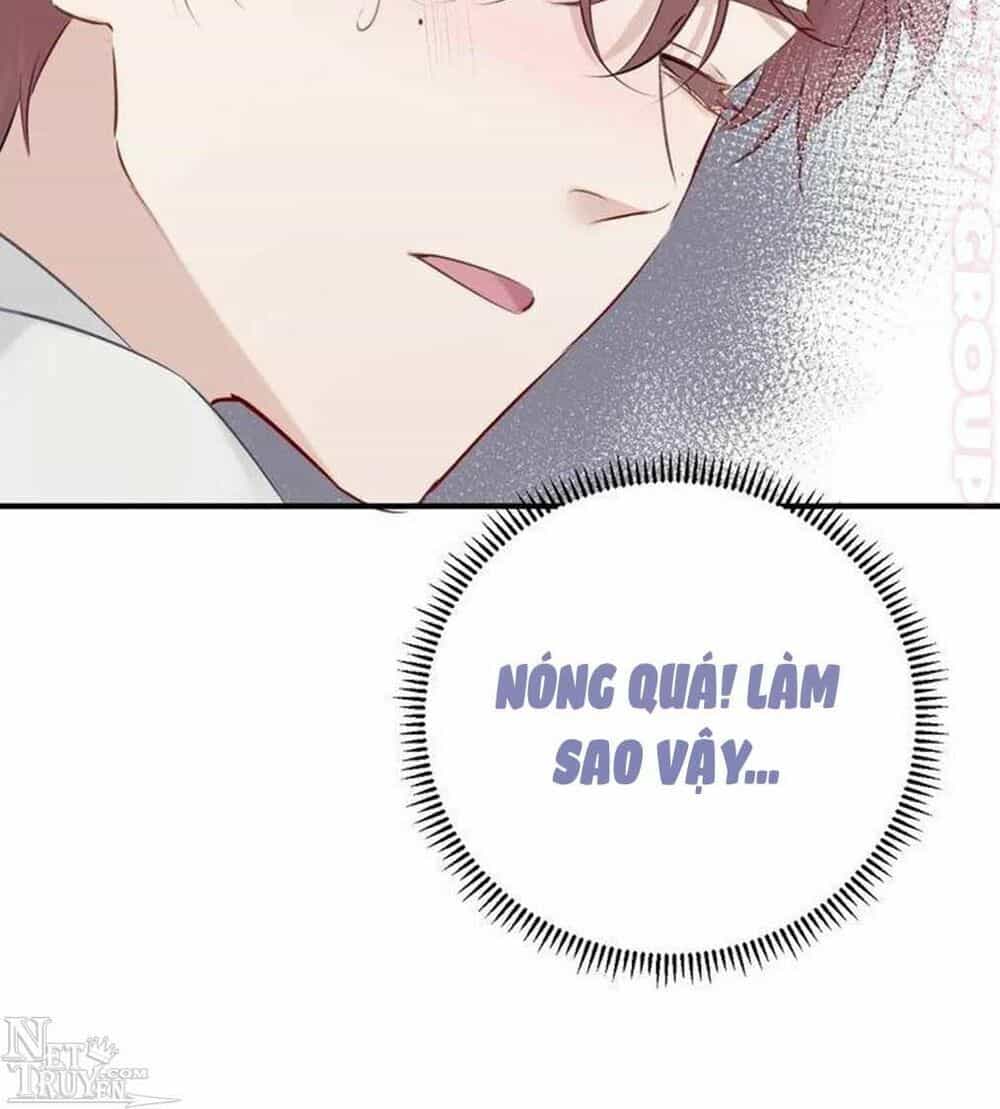 Đừng Để Tôi Bảo Vệ - Chương 20 - ảnh 86
