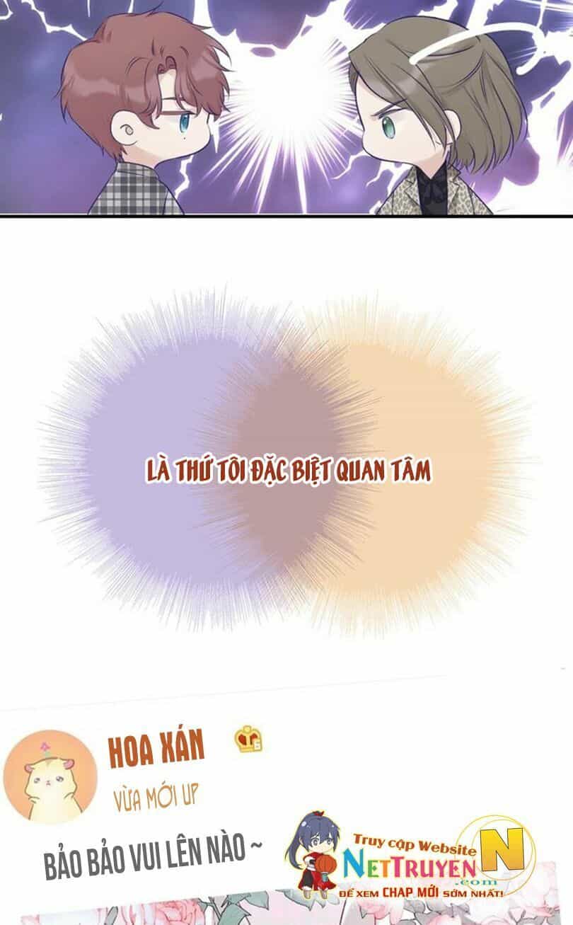 Đừng Để Tôi Bảo Vệ - Chương 23 - ảnh 25