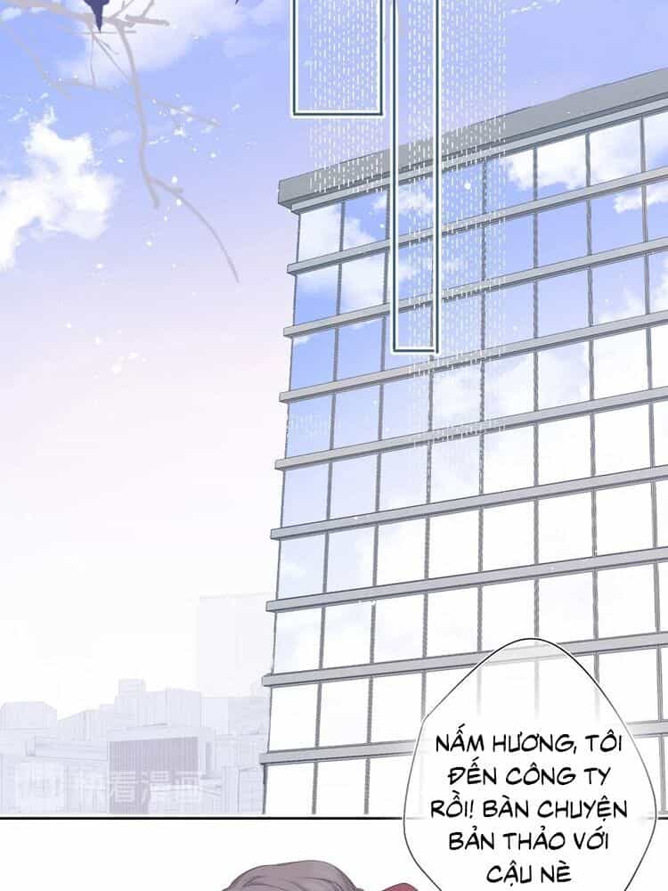Đừng Để Tôi Bảo Vệ - Chương 71 - ảnh 17