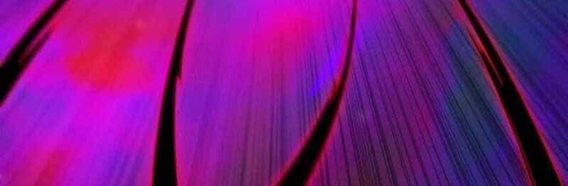 Dũng Giả X Nữ Ma Vương - Chương 93 - ảnh 100