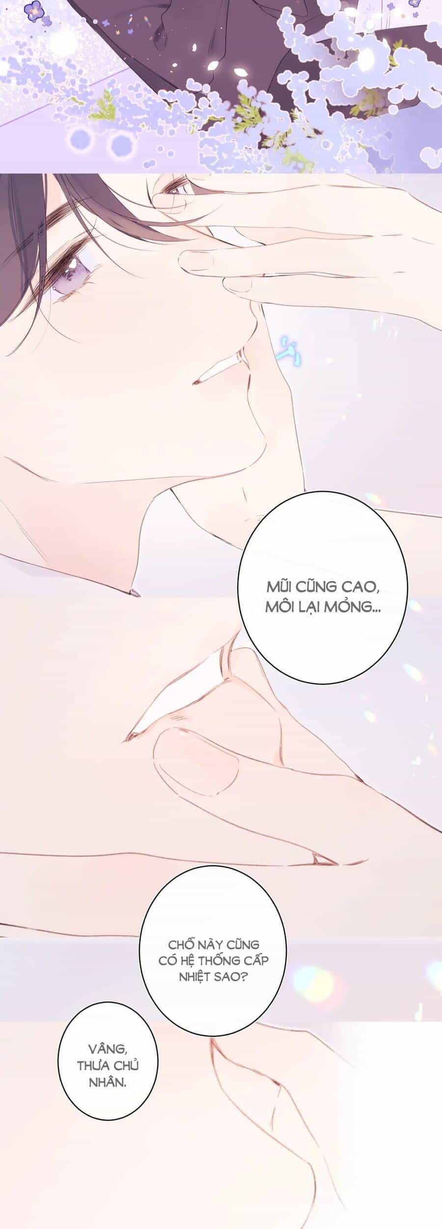 Đừng Khóc - Chương 100 - ảnh 13