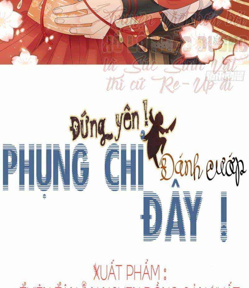 Đứng Lại! Phụng Chỉ Ăn Cướp - Chương 40 - ảnh 2