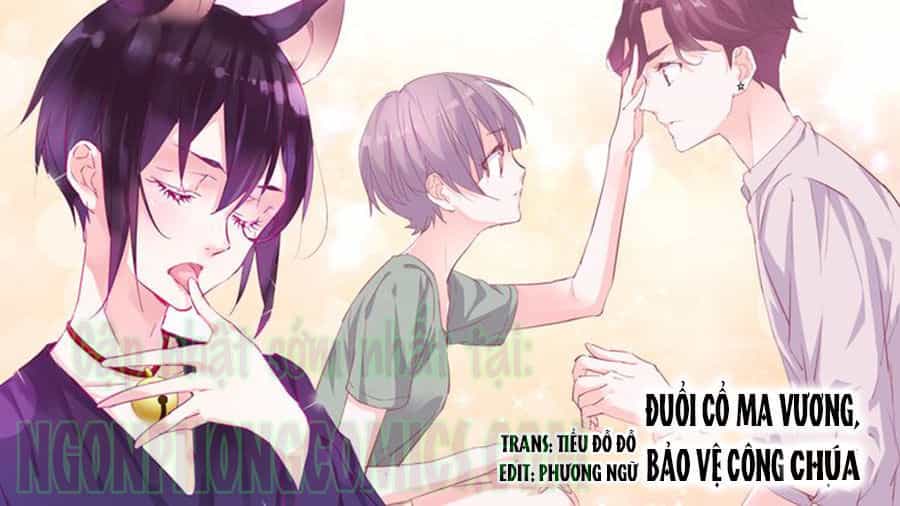 Đừng Nghịch, Ta Chỉ Muốn Yên Tĩnh - Chương 11 - ảnh 1