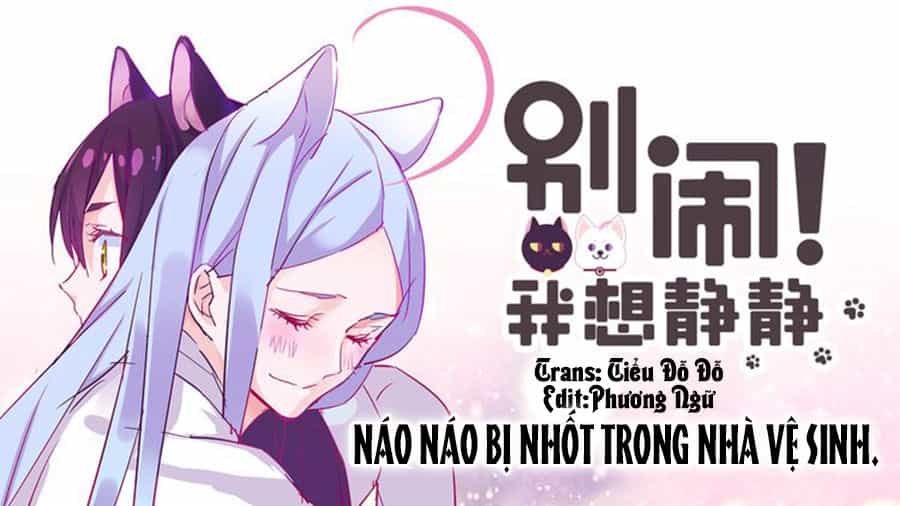 Đừng Nghịch, Ta Chỉ Muốn Yên Tĩnh - Chương 13 - ảnh 1