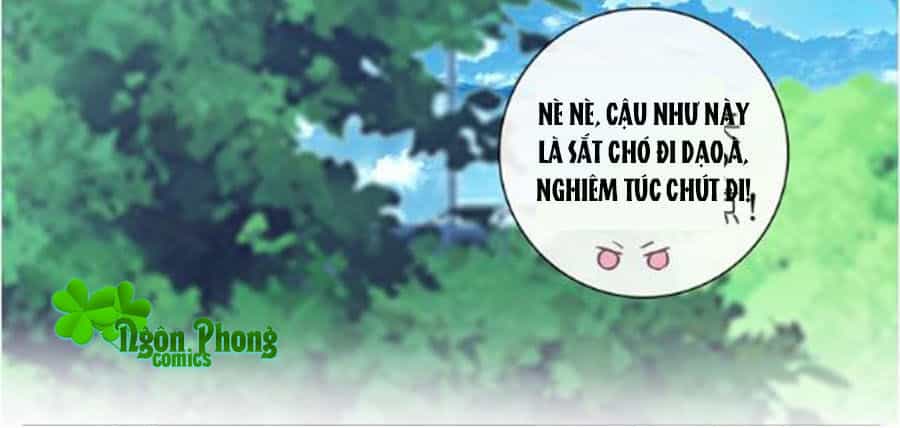 Đừng Nghịch, Ta Chỉ Muốn Yên Tĩnh - Chương 15 - ảnh 13