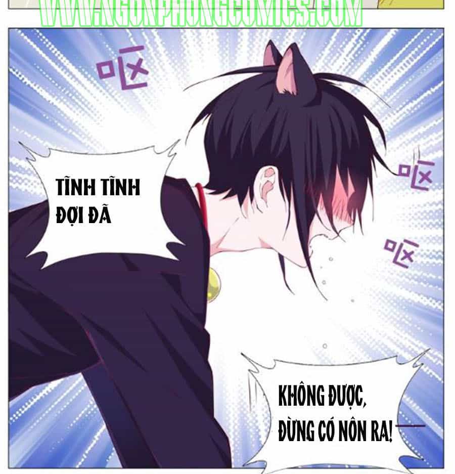 Đừng Nghịch, Ta Chỉ Muốn Yên Tĩnh - Chương 2 - ảnh 14