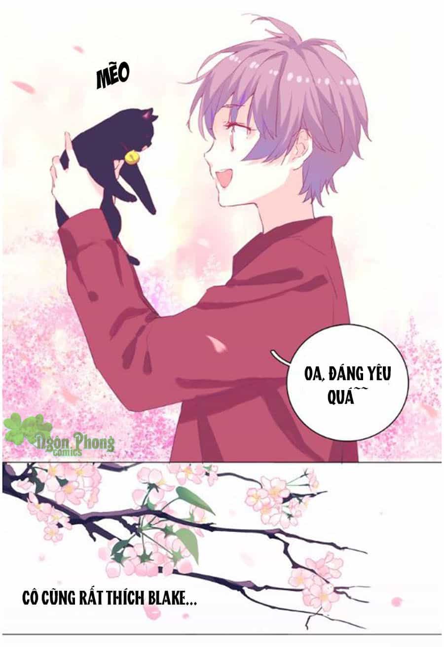 Đừng Nghịch, Ta Chỉ Muốn Yên Tĩnh - Chương 19 - ảnh 8