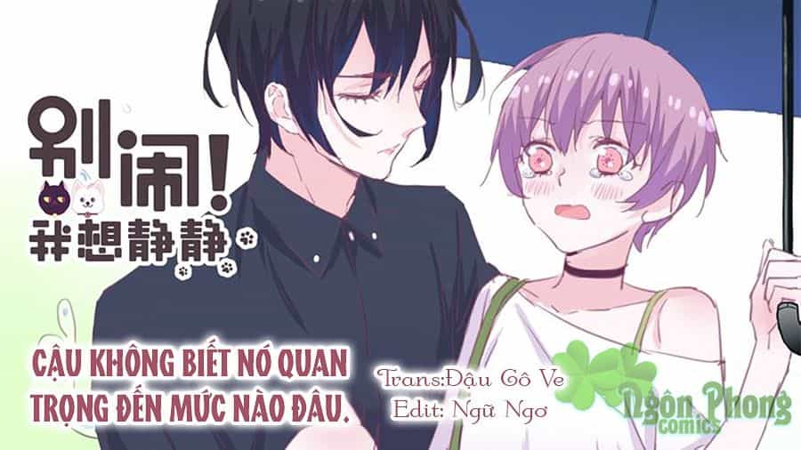 Đừng Nghịch, Ta Chỉ Muốn Yên Tĩnh - Chương 22 - ảnh 1