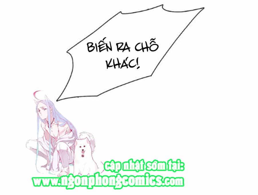 Đừng Nghịch, Ta Chỉ Muốn Yên Tĩnh - Chương 6 - ảnh 14