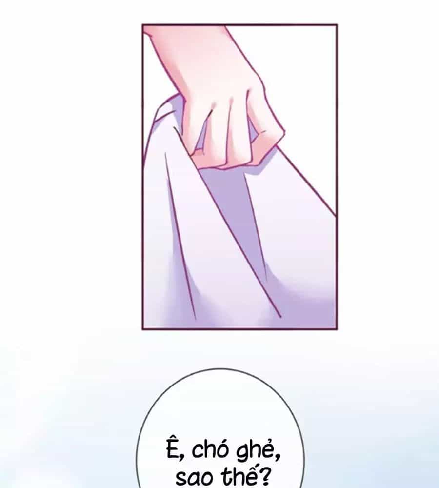 Đừng Nghịch, Ta Chỉ Muốn Yên Tĩnh - Chương 56 - ảnh 29