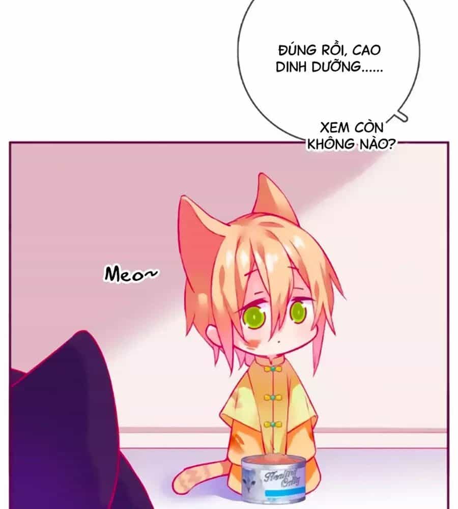 Đừng Nghịch, Ta Chỉ Muốn Yên Tĩnh - Chương 61 - ảnh 29