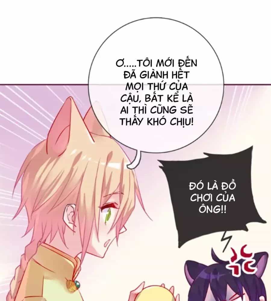 Đừng Nghịch, Ta Chỉ Muốn Yên Tĩnh - Chương 62 - ảnh 47