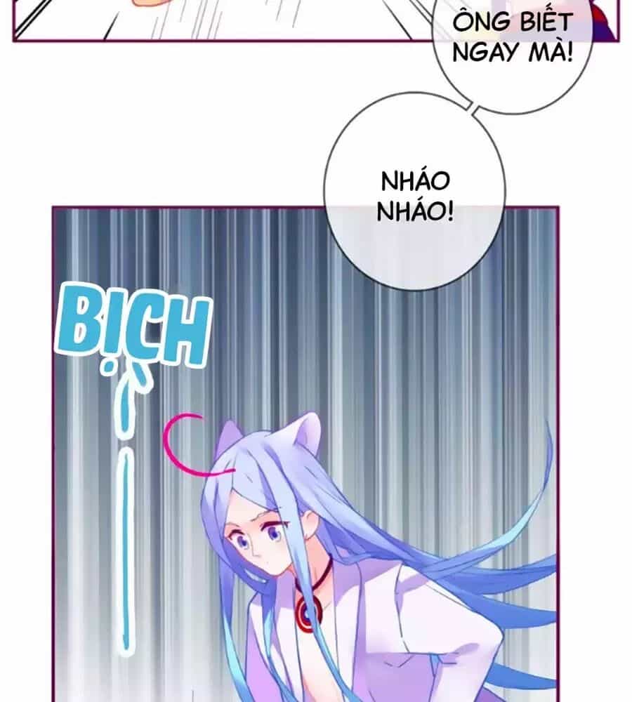 Đừng Nghịch, Ta Chỉ Muốn Yên Tĩnh - Chương 63 - ảnh 19