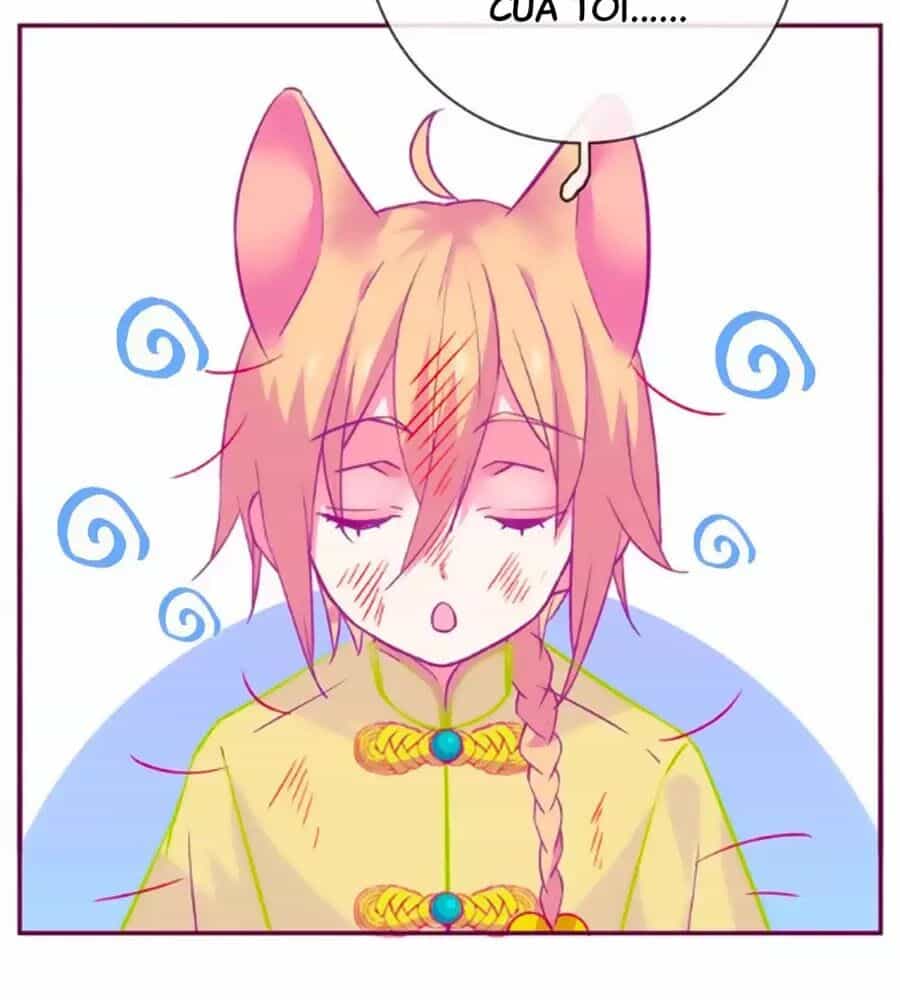 Đừng Nghịch, Ta Chỉ Muốn Yên Tĩnh - Chương 63 - ảnh 29