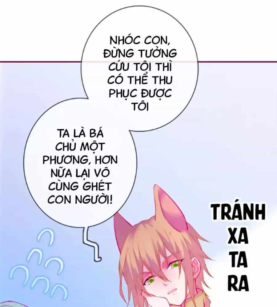 Đừng Nghịch, Ta Chỉ Muốn Yên Tĩnh - Chương 63 - ảnh 35
