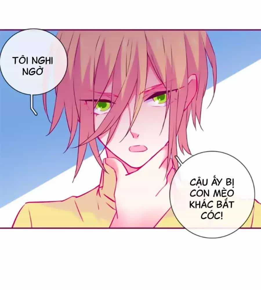 Đừng Nghịch, Ta Chỉ Muốn Yên Tĩnh - Chương 64 - ảnh 31