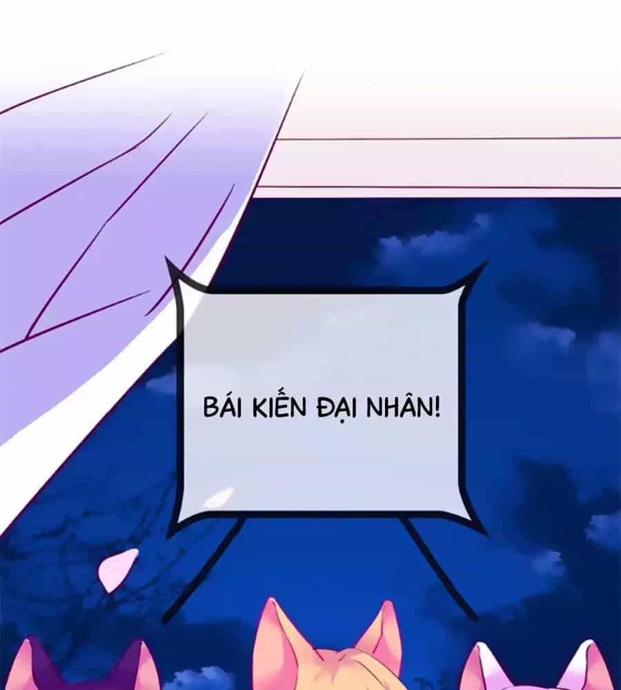 Đừng Nghịch, Ta Chỉ Muốn Yên Tĩnh - Chương 64 - ảnh 37