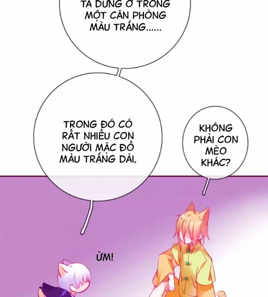 Đừng Nghịch, Ta Chỉ Muốn Yên Tĩnh - Chương 64 - ảnh 52