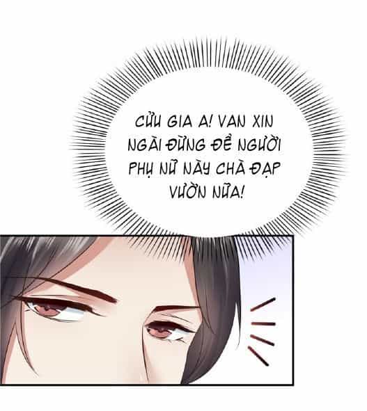 Đúng Như Hàn Quang Gặp Nắng Gắt - Chương 11 - ảnh 11