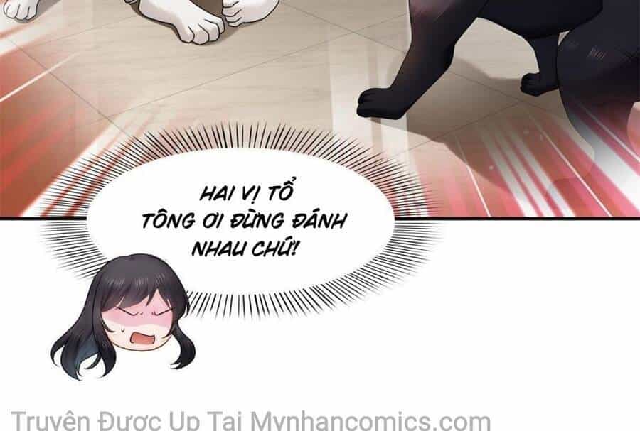 Đúng Như Hàn Quang Gặp Nắng Gắt - Chương 278 - ảnh 19