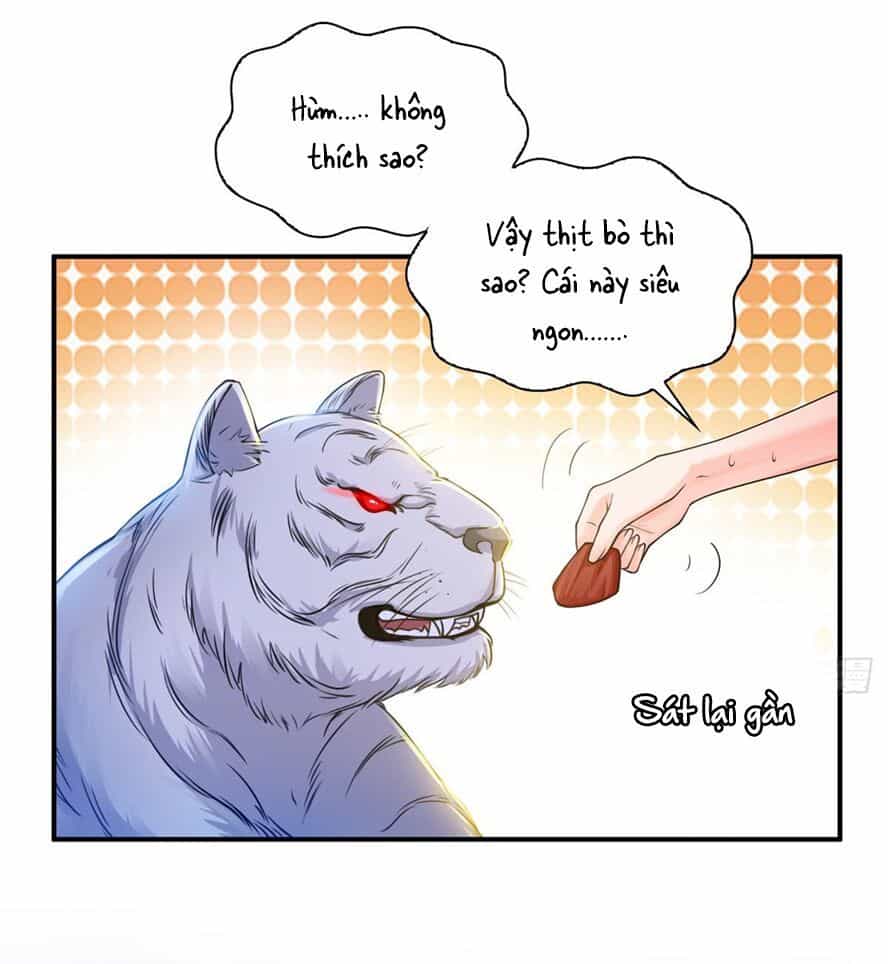 Đúng Như Hàn Quang Gặp Nắng Gắt - Chương 52 - ảnh 11