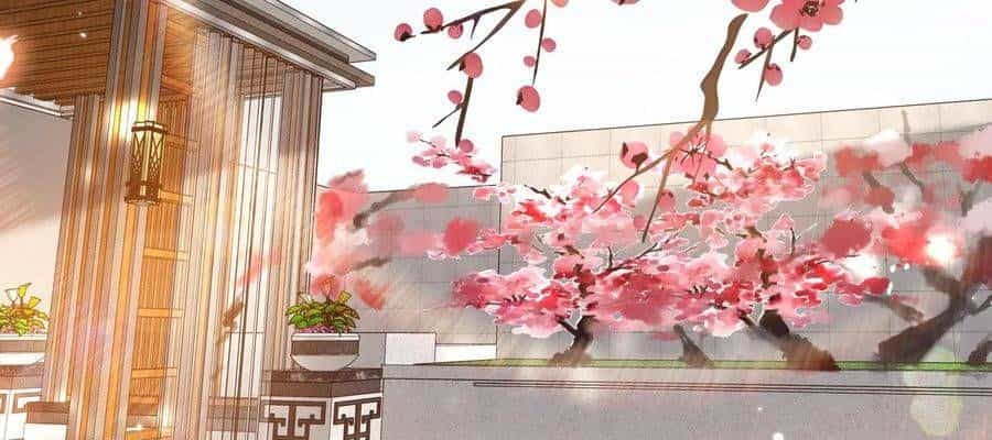 Đúng Như Hàn Quang Gặp Nắng Gắt - Chương 574 - ảnh 13