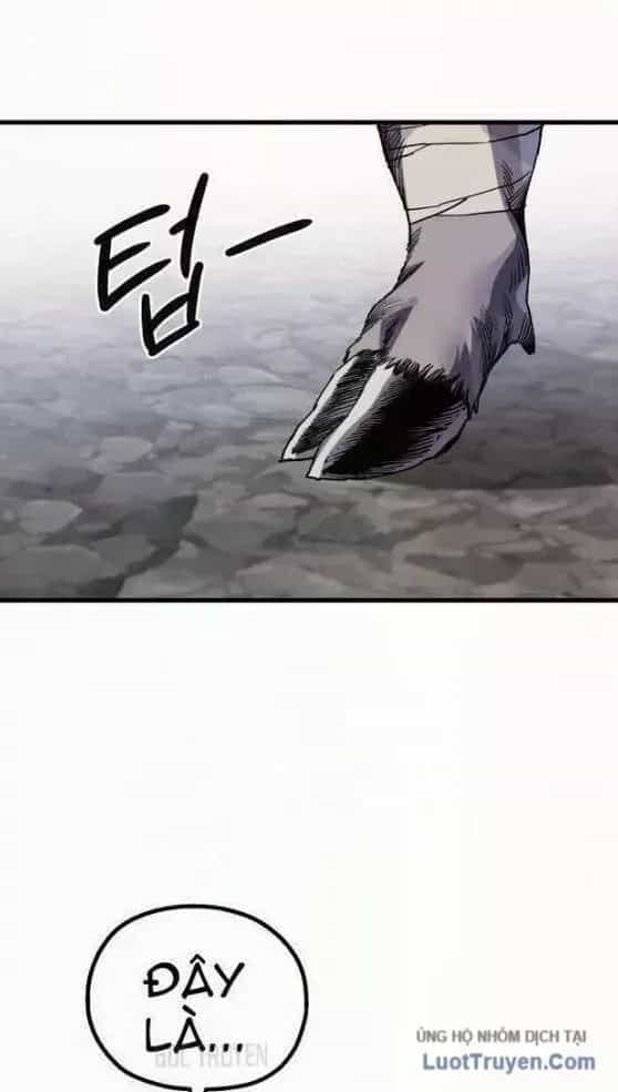 Dũng Sĩ Kiếm Tâm - Chương 21 - ảnh 16