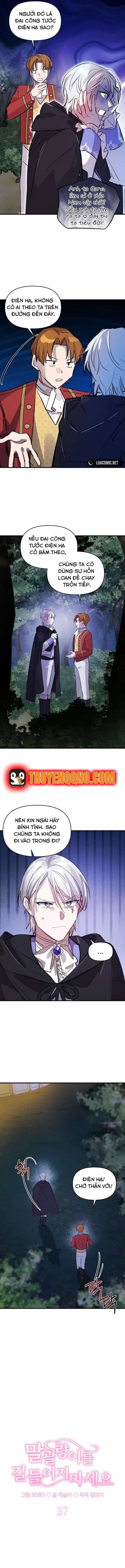 Đừng Thuần Hóa Cô Nàng Đanh Đá - Chương 37 - ảnh 5