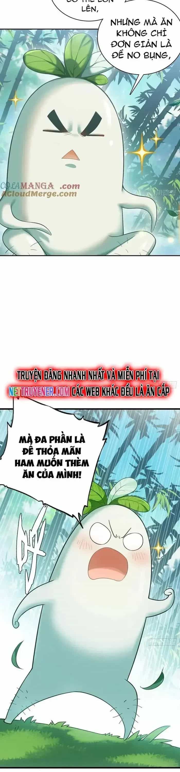 Đừng Xem Thường Một Củ Cải - Chương 17 - ảnh 10
