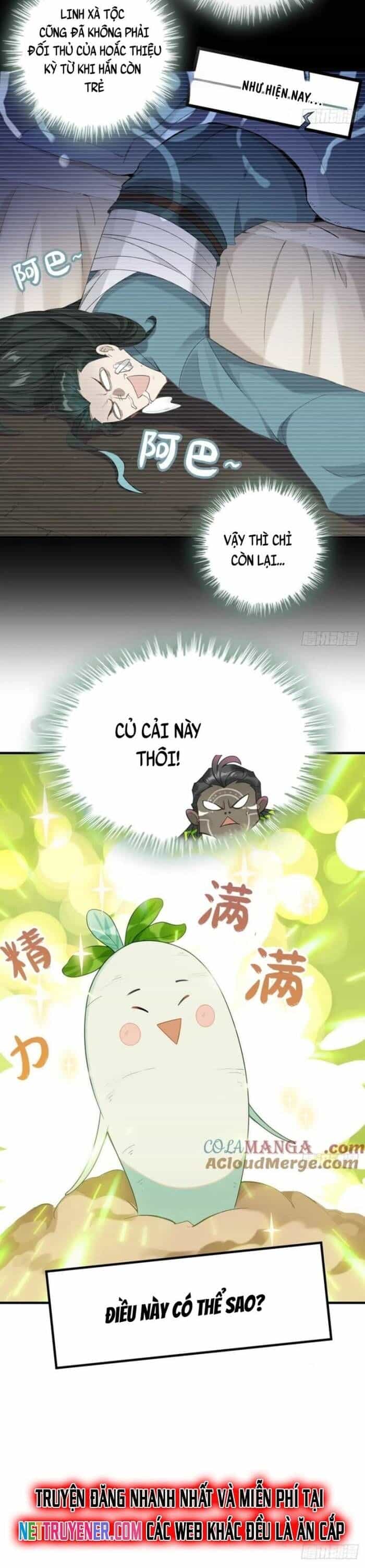 Đừng Xem Thường Một Củ Cải - Chương 34 - ảnh 4