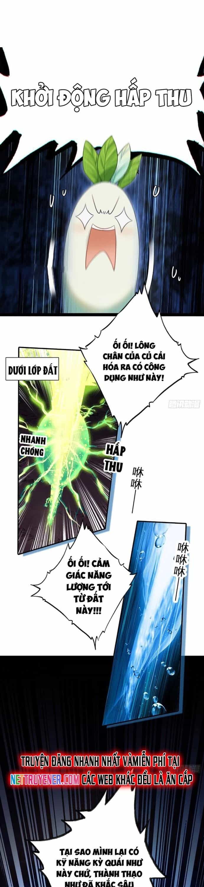 Đừng Xem Thường Một Củ Cải - Chương 4 - ảnh 24