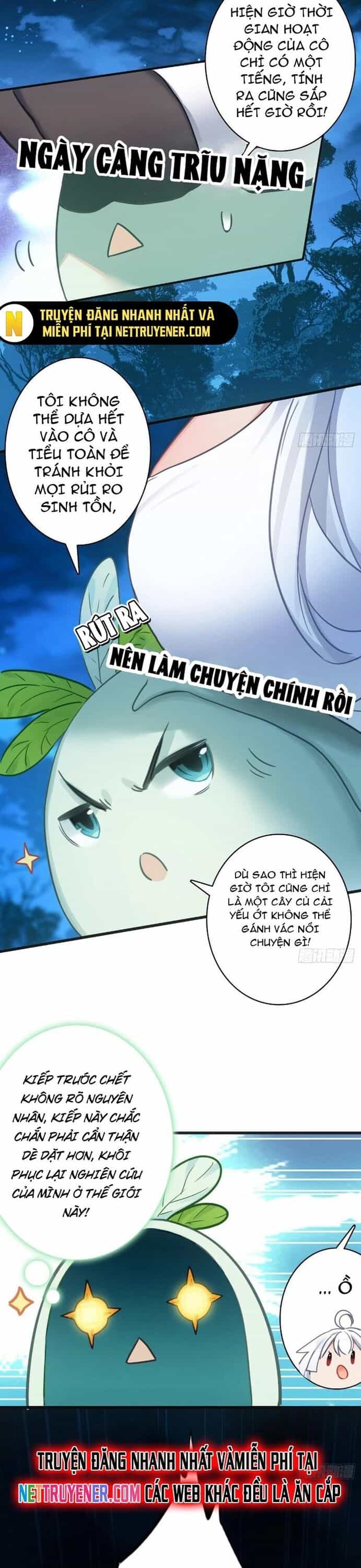 Đừng Xem Thường Một Củ Cải - Chương 5 - ảnh 5