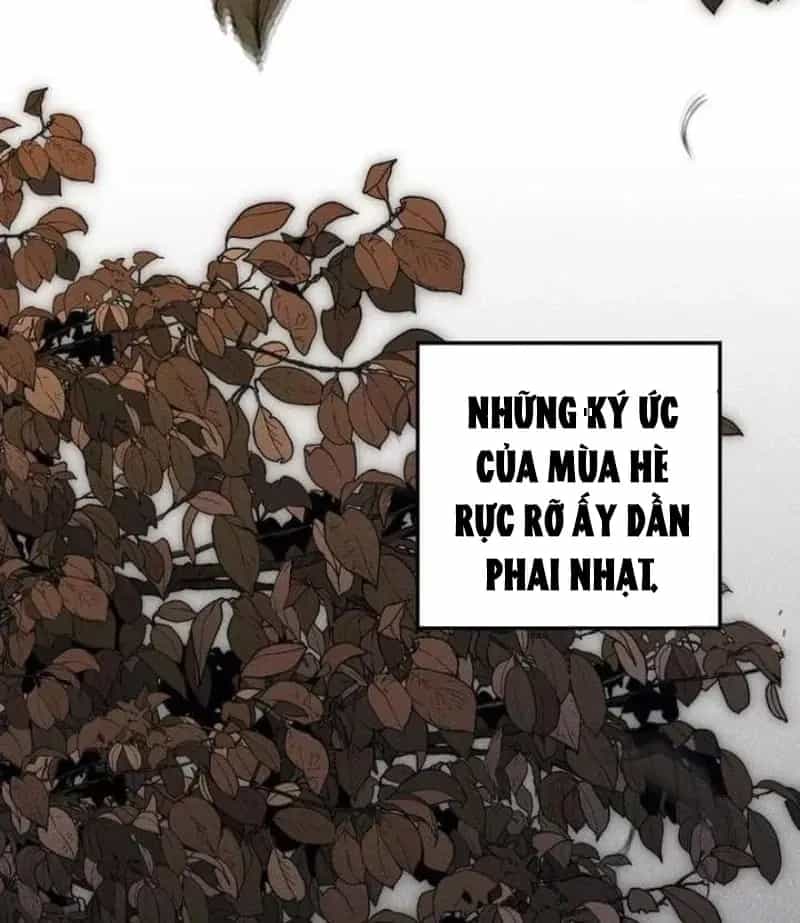 Dưới Bóng Cây Sồi - Chương 146 - ảnh 164