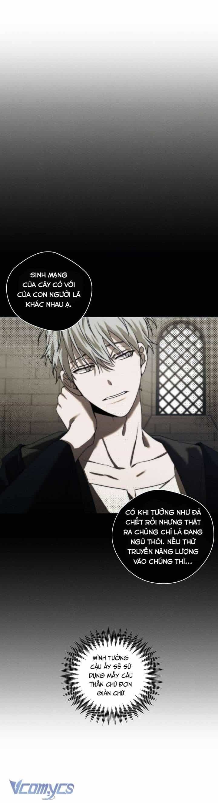 Dưới Bóng Cây Sồi - Chương 23 - ảnh 31