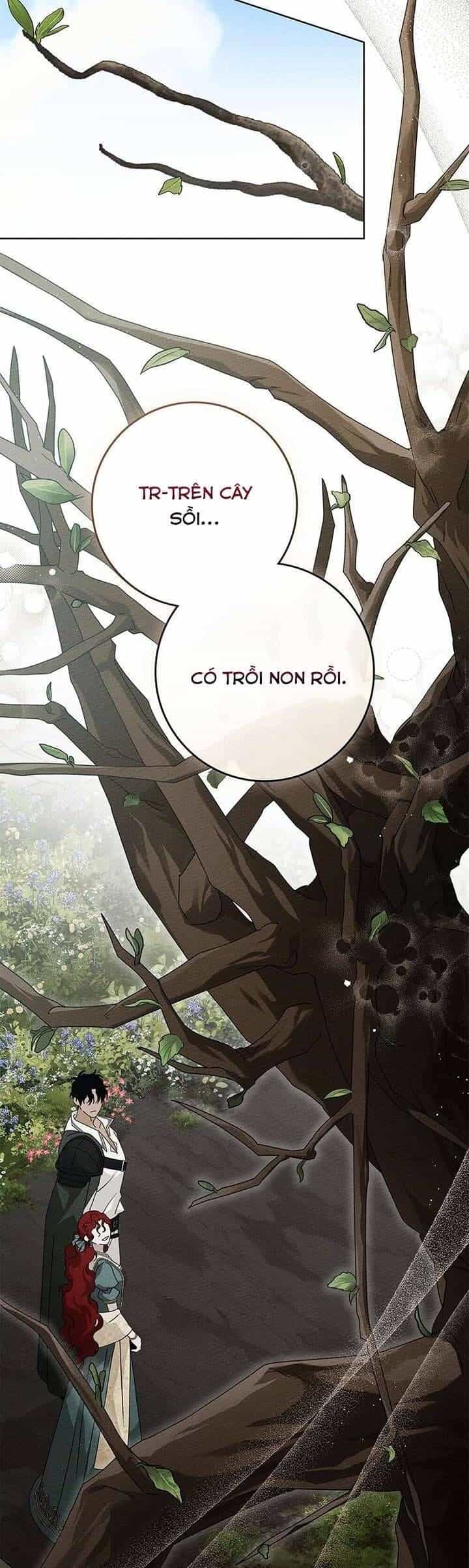 Dưới Bóng Cây Sồi - Chương 78 - ảnh 20