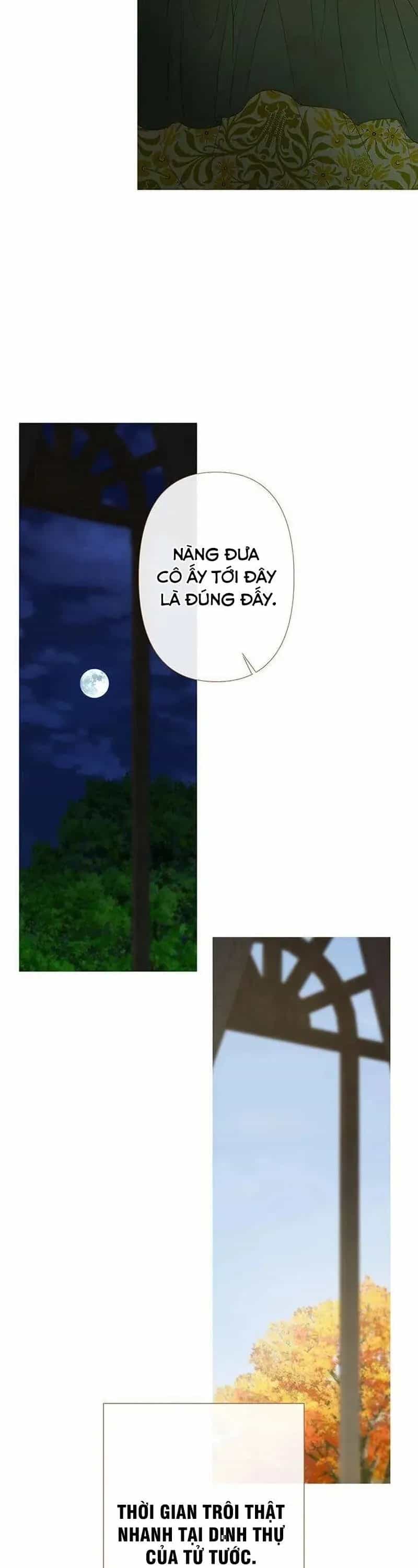 Dưới Rừng Chanh Vàng - Chương 26 - ảnh 14