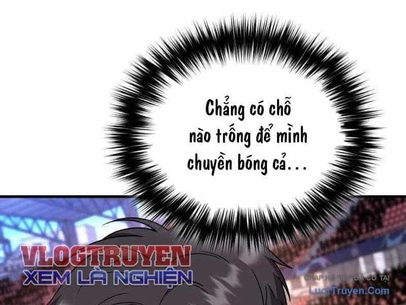 Đường Chuyền Đặc Biệt Của Tiền Vệ Thiên Tài - Chương 35 - ảnh 19