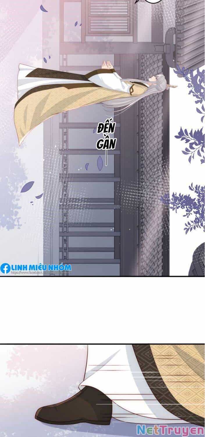 Dưỡng Địch Vi Hoạn - Chương 95 - ảnh 17