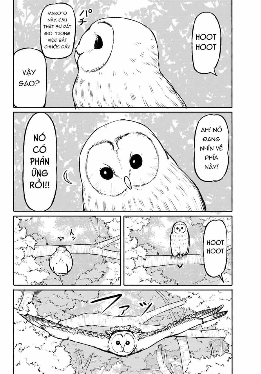 Flying Witch - Chương 47 - ảnh 8