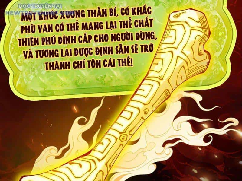 Gặp Mạnh Thì Càng Mạnh, Tu Vi Của Ta Không Giới Hạn - Chương 10 - ảnh 214