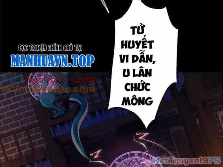 Gặp Mạnh Thì Càng Mạnh, Tu Vi Của Ta Không Giới Hạn - Chương 41 - ảnh 113