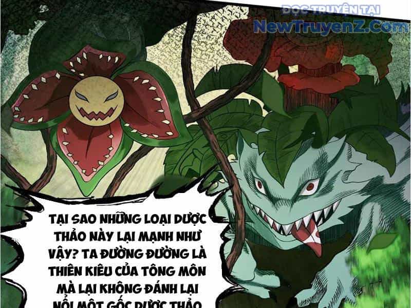 Gặp Mạnh Thì Càng Mạnh, Tu Vi Của Ta Không Giới Hạn - Chương 45 - ảnh 8