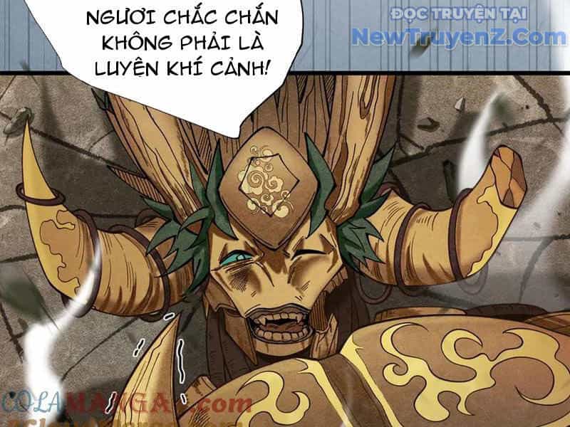 Gặp Mạnh Thì Càng Mạnh, Tu Vi Của Ta Không Giới Hạn - Chương 47 - ảnh 188