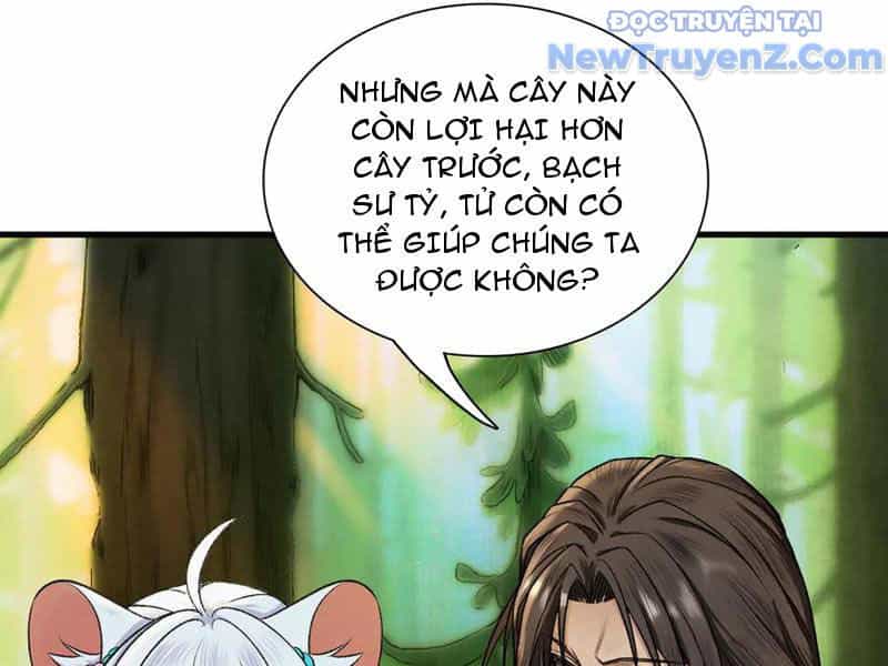 Gặp Mạnh Thì Càng Mạnh, Tu Vi Của Ta Không Giới Hạn - Chương 47 - ảnh 88