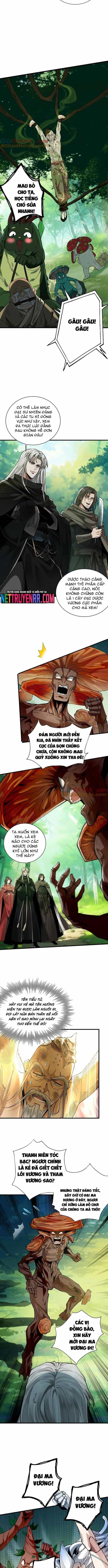 Gặp Mạnh Thì Càng Mạnh, Tu Vi Của Ta Không Giới Hạn - Chương 50 - ảnh 6