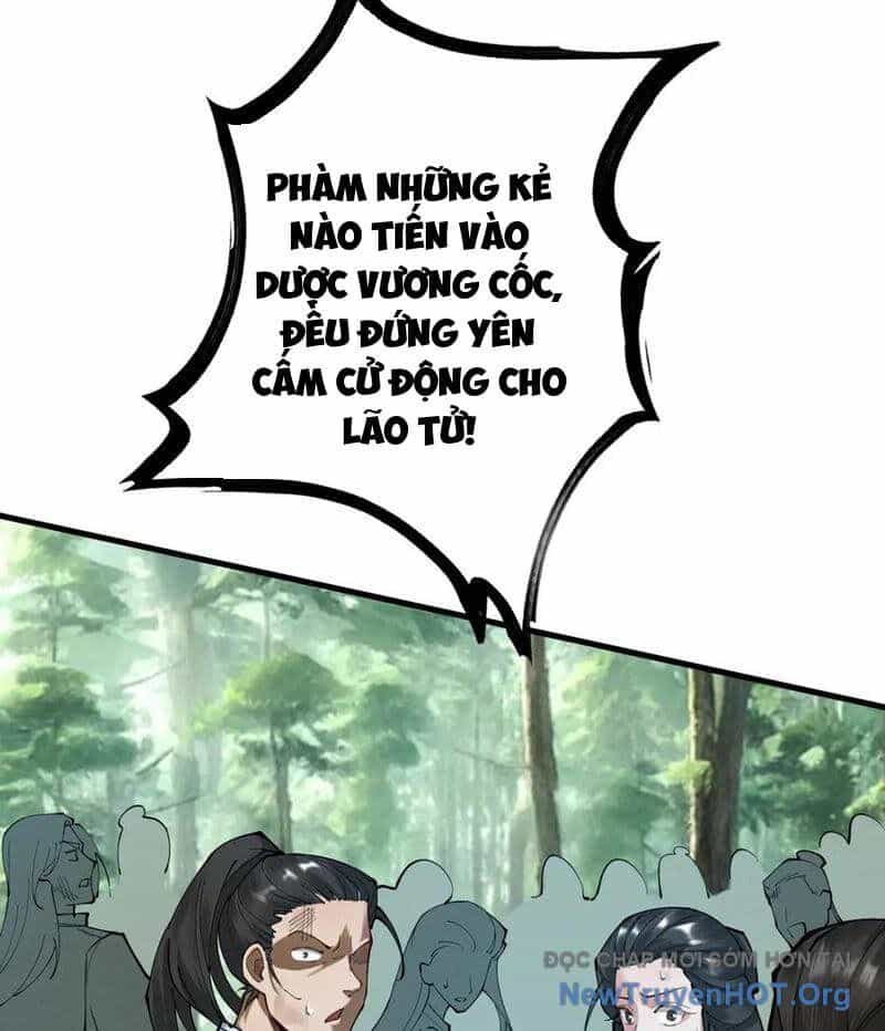 Gặp Mạnh Thì Càng Mạnh, Tu Vi Của Ta Không Giới Hạn - Chương 52 - ảnh 39