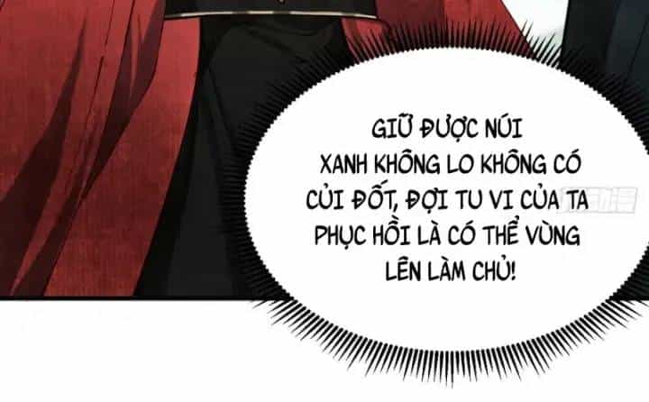Gặp Mạnh Thì Càng Mạnh, Tu Vi Của Ta Không Giới Hạn - Chương 5 - ảnh 5