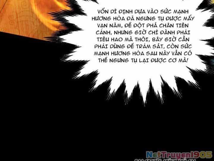 Gặp Mạnh Thì Càng Mạnh, Tu Vi Của Ta Không Giới Hạn - Chương 60 - ảnh 17