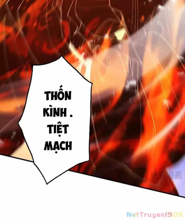 Gặp Mạnh Thì Càng Mạnh, Tu Vi Của Ta Không Giới Hạn - Chương 66 - ảnh 54